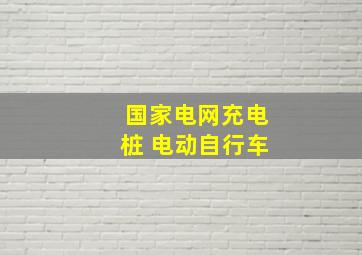 国家电网充电桩 电动自行车